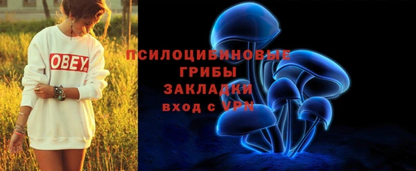 спиды Елизово