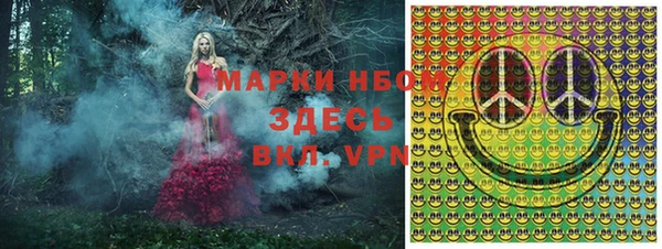 спиды Елизово