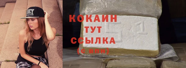спиды Елизово
