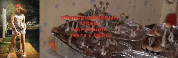 спиды Елизово