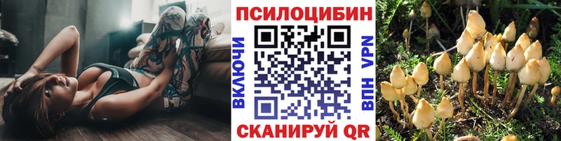 Купить  Поронайск  Псилоцибиновые грибы прущие грибы 